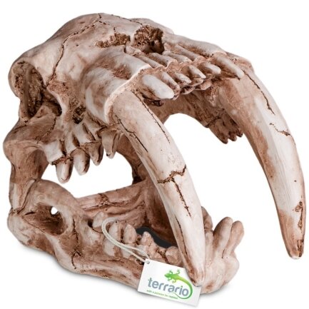 Декорація череп тигра Terrario Sabertooth Skull 13x8,5x11см (15911)