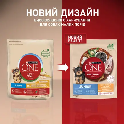 Сухий корм PURINA ONE Mini/Small Junior для цуценят дрібних порід з куркою 800 г: додаткове фото 6