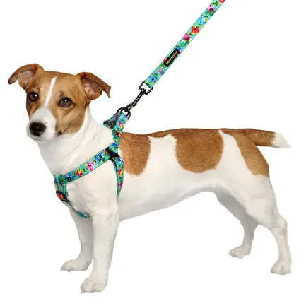 Повідець для собак BronzeDog Urban Folk нейлоновий ментоловий L: додаткове фото 2