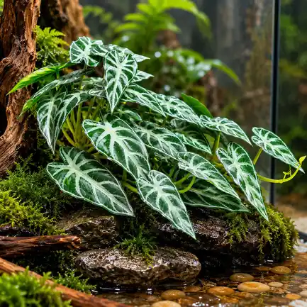 Штучна рослина Hobby Calathea 2 40×20 см (37715) для тераріуму, акватераріуму та палюдаріуму: додаткове фото 4