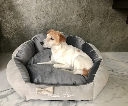 Chloe's Home Лежак для домашніх тварин Багамські острови сірий М: додаткове фото 2