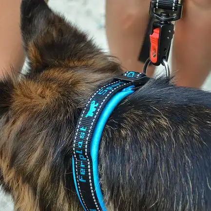 Ferplast SPORT DOG C25/55 BLUE Нашийник, нейлон: додаткове фото 3