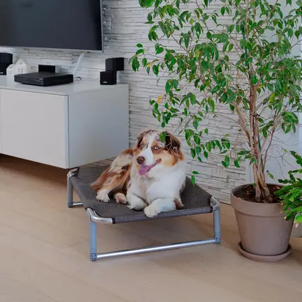 Ferplast DOG BED DREAM 80 Розкладачка металева — Фото 3