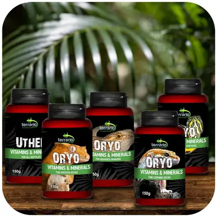 Вітаміни для війкового гекона бананаїда Terrario ORYO for Crested Gecko 150г: додаткове фото 3