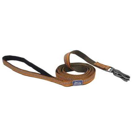 Coastal K9 Explorer Leash КОСТАЛ К9 ЕКСПЛОРЕР світловідбивний повідець для собак, 1.6смХ1.8м Полум’я