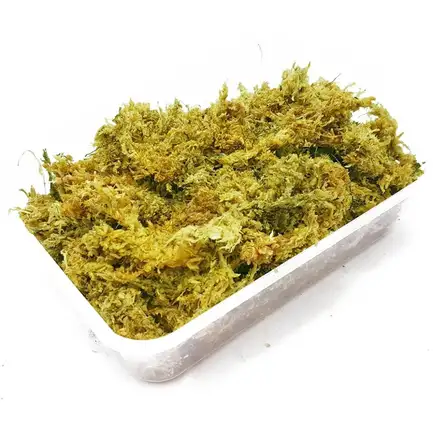 Сфагновий мох Repti-Zoo Sphagnum moss 100г. 4.5л. (SB031): додаткове фото 3