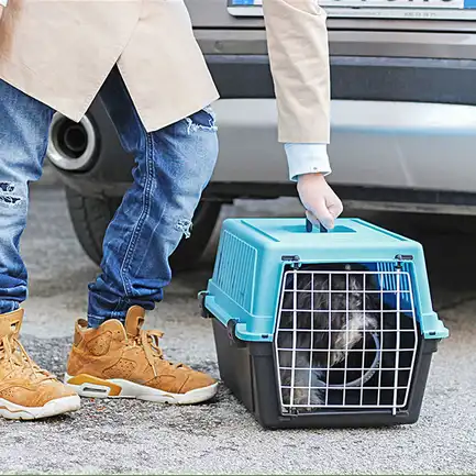 Ferplast CARRIER ATLAS 10 EL Контейнер для транспортування тварин, пластик: додаткове фото 4