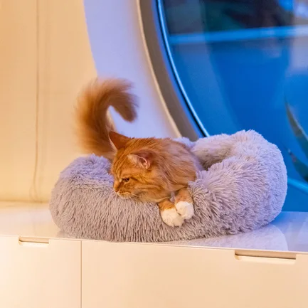 Ferplast CUDDLY 60 CUSHION GREY Лежак для собак і котів: додаткове фото 5