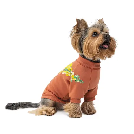 Толстовка Pet Fashion Miley для собак розмір S: додаткове фото 3