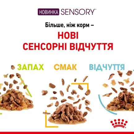 Вологий корм Royal Canin SENSORY TASTE GRAVY для котів всіх порід 85 г: додаткове фото 2