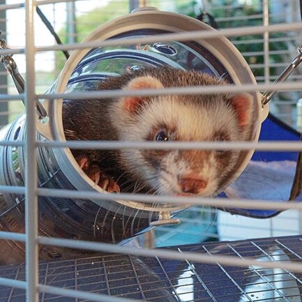 Ferplast CAGE FURET TOWER Клітка для тхорів — Фото 3