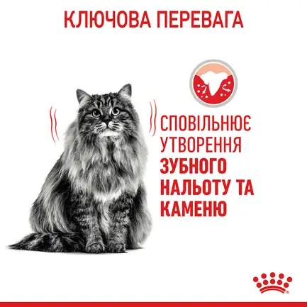Сухий корм Royal Canin DENTAL CARE для котів всіх порід 0,4 кг: додаткове фото 4