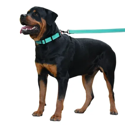 Нашийник для Собак BronzeDog Active Нейлоновий зі Світловідбиттям та Пластиковою Пряжкою Ментоловий XL: додаткове фото 9