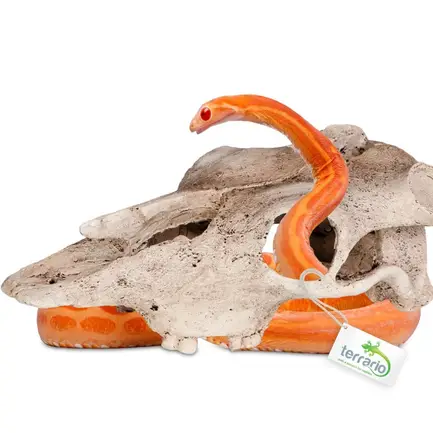 Декорація череп буйвола Terrario Buffalo Skull 21x12x8см (22128): додаткове фото 6
