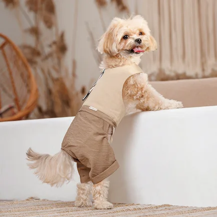 Шлея-костюм Darcy ТМ Pet Fashion для собак XS бежева: додаткове фото 8