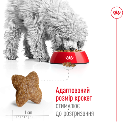 Сухий корм Royal Canin MINI ADULT для дорослих собак малих порід 8 кг — Фото 4