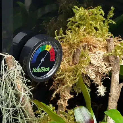 HABISTAT DIAL HYGROMETER (R3100190) гігрометр для тераріума: додаткове фото 3