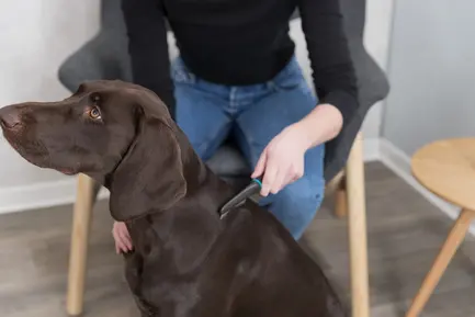 Гребінець Trixie для пошуку бліх та вошей, металевий з пластиковою ручкою, 21 см: додаткове фото 3