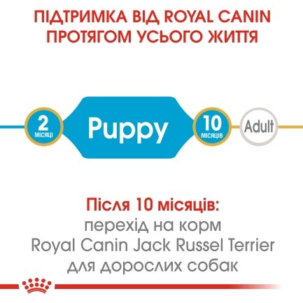 Сухий корм Royal Canin JACK RUSSEL PUPPY для цуценят породи Джек Расел Тер`єр 1,5 кг — Фото 3