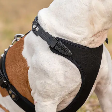 Ferplast GIOTTO P L-XL HARNESS LUXOR Шлея, шкіра: додаткове фото 6
