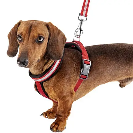 Ferplast DAYTONA CROSS P S HARNESS BLUE Шлея для собак: додаткове фото 3