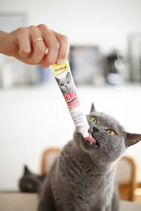 Паста для котів з чутливим травленням GimCat DUO PASTE Anti-hairball malt with chicken мальт та курка, 50 г: додаткове фото 5
