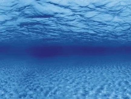 Акваріумний задній фон Aqua Nova Синє море/Камені з корчами 100x50см (TREE ROOTS/WATER L): додаткове фото 4