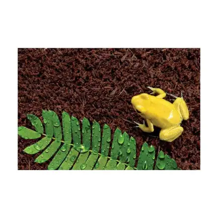 Підкладка з кокосового волокна Repti-Zoo Coconut fiber Substrate 8л (SB650): додаткове фото 8