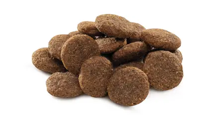 Сухий корм Brit Premium Dog Adult L для дорослих собак великих порід, з куркою, 3 кг: додаткове фото 2