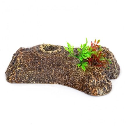 Острів для черепах Repti-Zoo Turtle Floating Bark S 21,5x15x6см (TB15S)