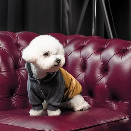 Толстовка Pet Fashion «Rollie» для собак, розмір S, бежева/сіра (лімітована серія): додаткове фото 6