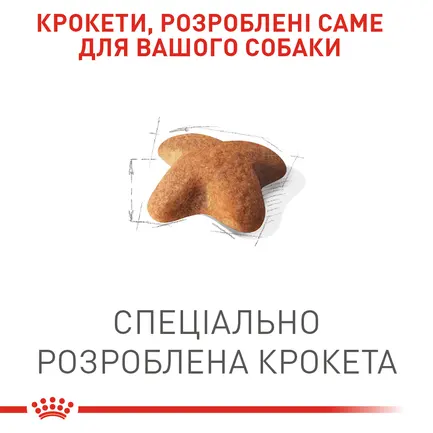 Сухий корм Royal Canin BEAGLE ADULT для дорослих собак породи Бігль 3 кг: додаткове фото 6