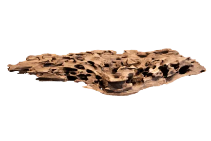 Дерево зі стільниками HONEYCOMB WOOD X LARGE (A4080375)