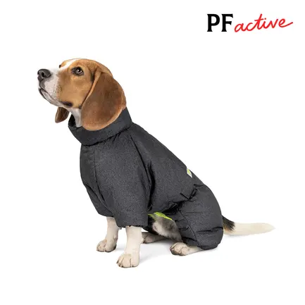Комбінезон Pet Fashion «Cold» для такс, розмір S2, сірий: додаткове фото 3