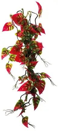 REPTO PLANT VINES PINK/GREEN SYNGONIUM 60 CM (R5100665) Штучна рослина для тераріума: додаткове фото 2