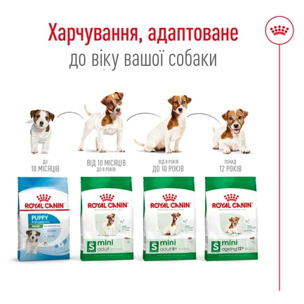 Сухий корм Royal Canin MINI ADULT 8+ для собак зрілого віку малих порід 0,8 кг: додаткове фото 2