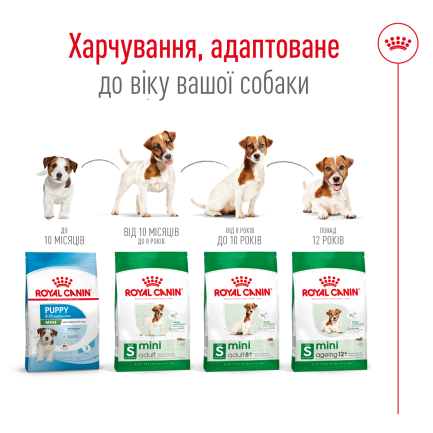 Сухий корм Royal Canin MINI ADULT 8+ для собак зрілого віку малих порід 0,8 кг — Фото 1