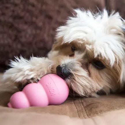 Іграшка KONG Puppy груша-годівниця для цуценят малих порід, S — Фото 3