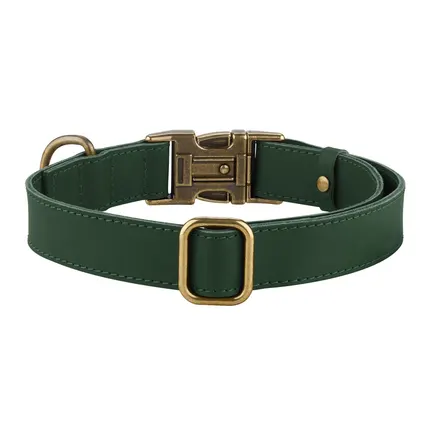 Нашийник для собак шкіряний BronzeDog Antiq зелений S: додаткове фото 2