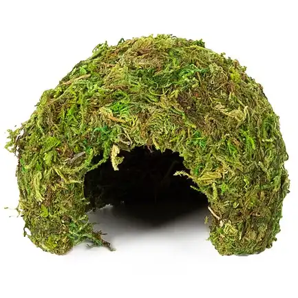 Схованка з моху Repti-Zoo Natural Mossy Dome S 11x10см (ERS25S): додаткове фото 3