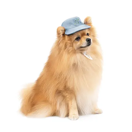 Панама Pet Fashion для собак Blue S: додаткове фото 2