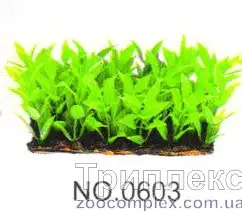 Aquatic Plants (Акватик Плэнтс) Акваріумна рослина, (6х3х6 см) х 6 шт/уп.