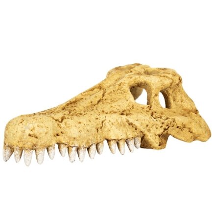 Крокодилячий череп Repti-Zoo Crocodile Skull S 11x6x4см (ERS34S)