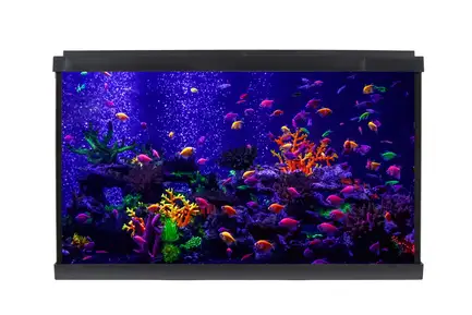 Акваріум Resun WPG 60 для GloFish