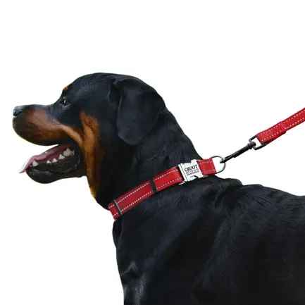 Нашийник для Собак BronzeDog Active Нейлоновий зі Світловідбиттям та Металевою Пряжкою Червоний L: додаткове фото 4