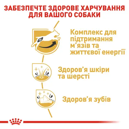 Сухий корм Royal Canin JACK RUSSEL ADULT для дорослих собак породи Джек Расел Тер`єр 7,5 кг: додаткове фото 5