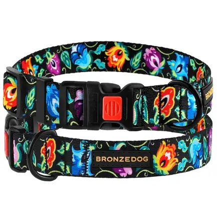 Нашийник для собак BronzeDog Urban Folk нейлоновий із пластиковою пряжкою чорний S