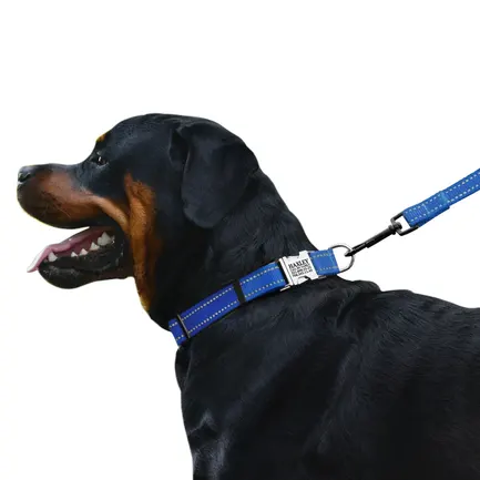 Нашийник для Собак BronzeDog Active Нейлоновий зі Світловідбиттям та Металевою Пряжкою Синій XL: додаткове фото 4