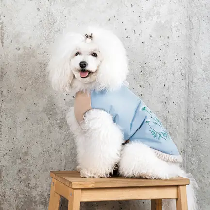 Жилет Pet Fashion Kris для собак розмір S: додаткове фото 5