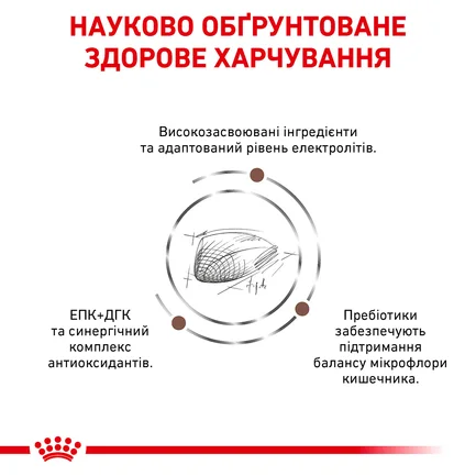 Дієтичний сухий корм Royal Canin GASTROINTESTINAL CAT для котів 2 кг: додаткове фото 4